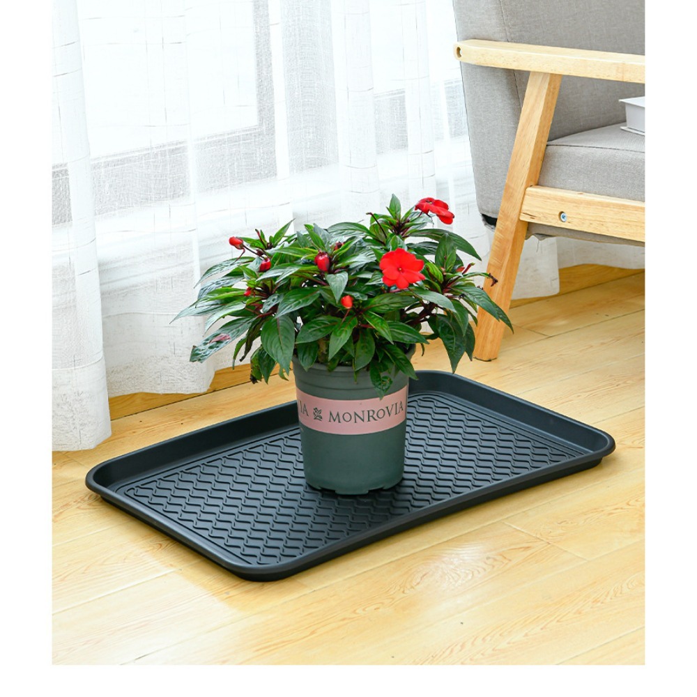 Food Storage In Plants - Multifunctional Plastic Tray Versatile Shoe Tray