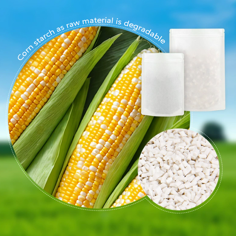 Customized Degradable Kraft Pa - огляд і ціна Food Storage In Plants